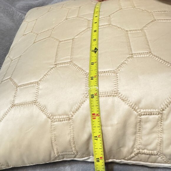 Throw Pillow 21x21 Geometric Stitching West Lake Home Duck Feather Beige Satin - Picture 4 of 12